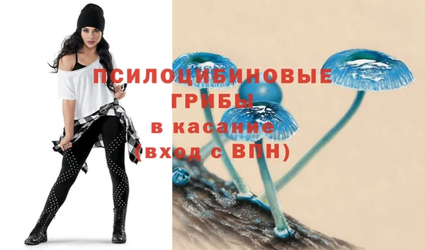 индика Алексин