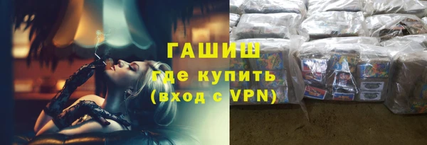 индика Алексин