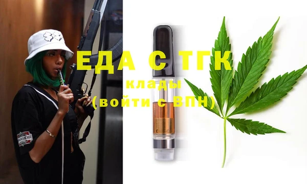 индика Алексин