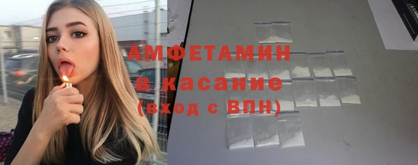 индика Алексин
