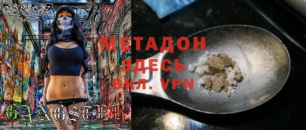 индика Алексин
