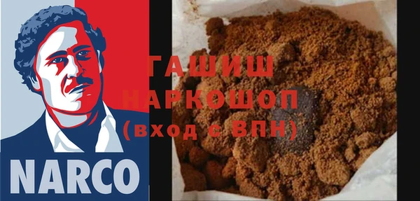 индика Алексин