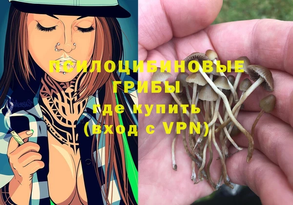 прущие крисы Алексеевка